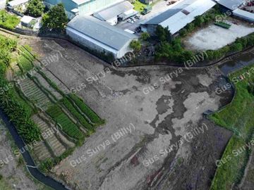 DI JUAL TANAH STRATEGIS DI BADUNG BALI 🔥 Dekat Area Komersial | Investasi Menjanjikan | Harga Terus Naik!