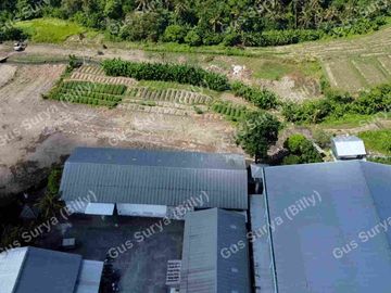 DI JUAL TANAH STRATEGIS DI BADUNG BALI 🔥 Dekat Area Komersial | Investasi Menjanjikan | Harga Terus Naik!