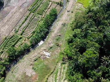 DI JUAL TANAH STRATEGIS DI BADUNG BALI 🔥 Dekat Area Komersial | Investasi Menjanjikan | Harga Terus Naik!