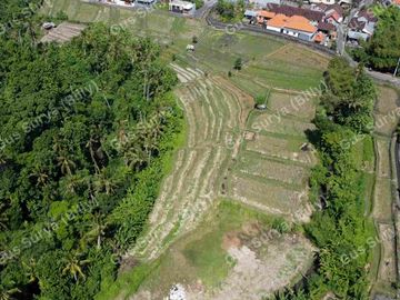 DI JUAL TANAH STRATEGIS DI BADUNG BALI 🔥 Dekat Area Komersial | Investasi Menjanjikan | Harga Terus Naik!