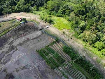 DI JUAL TANAH STRATEGIS DI BADUNG BALI 🔥 Dekat Area Komersial | Investasi Menjanjikan | Harga Terus Naik!
