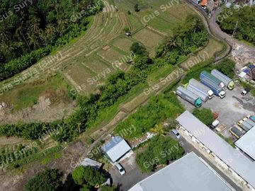 DI JUAL TANAH STRATEGIS DI BADUNG BALI 🔥 Dekat Area Komersial | Investasi Menjanjikan | Harga Terus Naik!