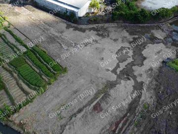 DI JUAL TANAH STRATEGIS DI BADUNG BALI 🔥 Dekat Area Komersial | Investasi Menjanjikan | Harga Terus Naik!