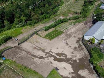 DI JUAL TANAH STRATEGIS DI BADUNG BALI 🔥 Dekat Area Komersial | Investasi Menjanjikan | Harga Terus Naik!