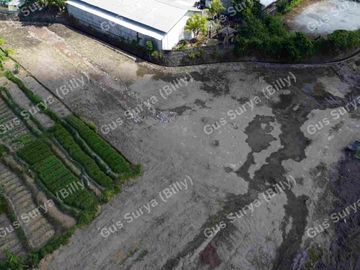 DI JUAL TANAH STRATEGIS DI BADUNG BALI 🔥 Dekat Area Komersial | Investasi Menjanjikan | Harga Terus Naik!
