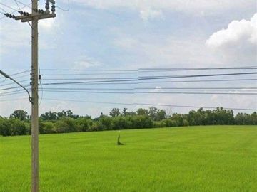 21 rai 53 sq.wa. vacant land near Florence Inn Hotel, P.Y. Cleaning and Service Co., Ltd., Rural Highway Ay.3049, Lad Bua Luang, Phra Nakhon Si Ayutth