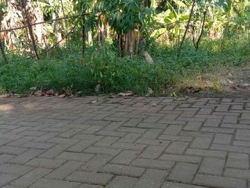 Tanah Kampung Murah Cocok Untuk Investasi di Pakintelan Gunungpati