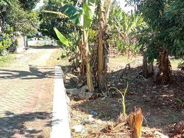 Tanah Kampung Murah Deket Kampus UNNES di Mangunsari Gunungpati