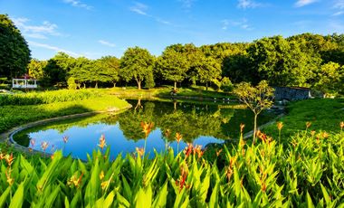 Prime Elevated Residential Lot for Sale in Ayala Westgrove Heights with Scenic Views
