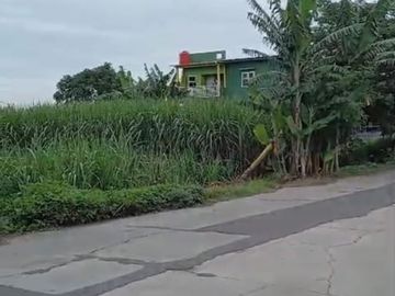 Tanah Mojokerto