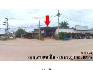 ZBL0054 ขายที่ดิน ตำบล ทุ่งตะไคร อำเภอ ทุ่งตะโก จังหวัด ชุมพร