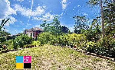 RUSH SALE RESIDENTIAL LOT INSIDE PRIVATE SUBDIVISION IN TALAMBAN CEBU