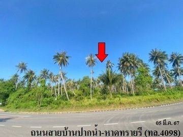 Z4T0288 ขายที่ดิน ตำบล ปากน้ำ อำเภอ เมืองชุมพร จังหวัด ชุมพร