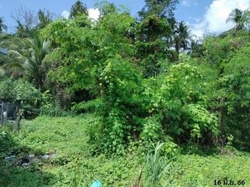 Z8Z4096 ขายที่ดิน ตำบล ปากน้ำ อำเภอ เมืองชุมพร จังหวัด ชุมพร