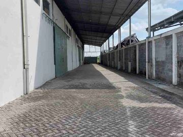 Sewa Gudang Raya Pelem Watu Gresik. Lantai Cor . Ada Halaman Luas.