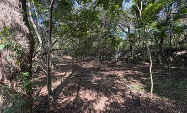 Terreno en venta Carreteta Nacional