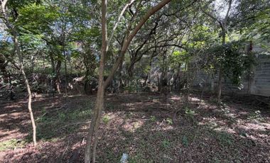 Terreno en venta Carreteta Nacional