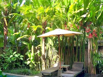 Villa Komplek Ubud Pemandangan Sawah Bali