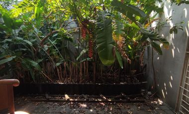 DIJUAL RUMAH STRATEGIS KOTA BOGOR