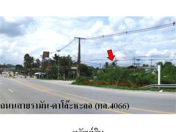 Z2T2301 ขายที่ดิน ตำบล กายูบอเกาะ อำเภอ รามัน จังหวัด ยะลา