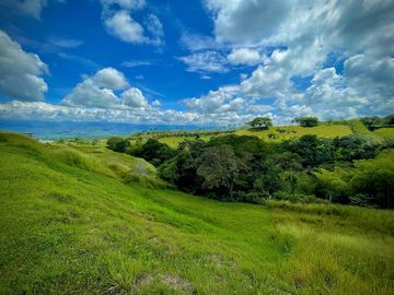 LOTE EN VENTA SECTOR  CERRITOS RESERVA NATURAL  PEREIRA