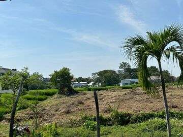 Tanah Berawa Canggu Badung Bali