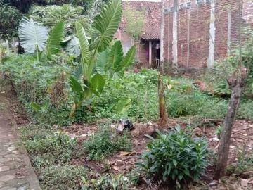 Tanah Kampung Murah Cocok Untuk Investasi di Karanggeneng Gunungpati