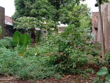 Tanah Kampung Murah Cocok Untuk Investasi di Karanggeneng Gunungpati