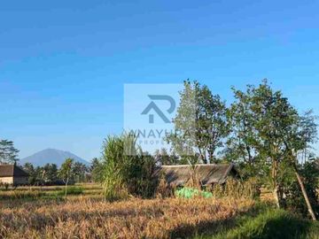 Tanah Pejeng Kangin Dekat Ubud