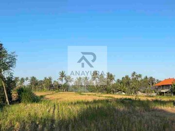 Tanah Pejeng Kangin Dekat Ubud