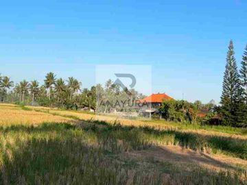 Tanah Pejeng Kangin Dekat Ubud