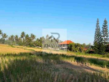 Tanah Pejeng Kangin Dekat Ubud
