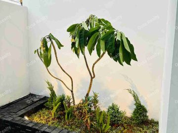DiJual Rumah Mewah