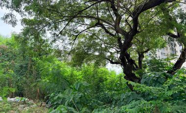 Lot for sale in Cebu City, Mabolo few available large lots in the city