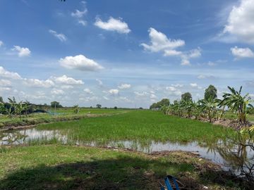 99008 - ขายที่ดินเปล่า 20 ไร่ ข้าวงาม วังน้อย พระนครศรีอยุธยา ใกล้การไฟฟ้าฝ่ายผลิตวังน้อย