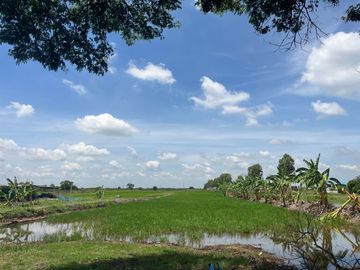 99008 - ขายที่ดินเปล่า 20 ไร่ ข้าวงาม วังน้อย พระนครศรีอยุธยา ใกล้การไฟฟ้าฝ่ายผลิตวังน้อย
