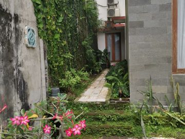 Rumah Mewah Megah 2 Lantai Plus Ruang Café Strategis Lebar Depan 15m Premium di Cemani Grogol Sukoharjo