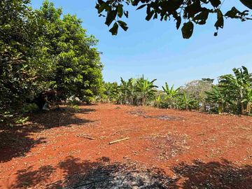 Dijual Cepat Tanah di Jomin Timur Cikampek. Cocok untuk dibangun Workshop, Yayasan dan Kontrakan.