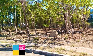 RESIDENTIAL LOT FOR SALE INSIDE MARYVILLE SUBDIVISION TALAMBAN CEBU