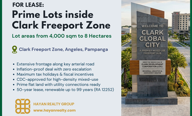 Prime Mixed-Use Industrial & Commercial Lots for Lease - Clark Freeport Zone