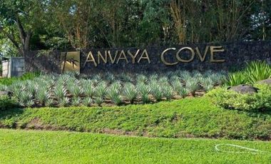 FOR SALE:  550 sqm Residential Lot Beachside in Morong, Bataan - Orchard Vistas Anvaya Cove