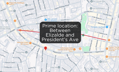 Lot for sale along Aguirre Avenue, BF Homes - Perfect for commercial