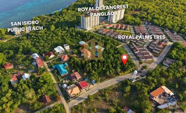 2 Titled Lots Near Royal Oceancrest Panglao 1 for Sale - Dauis, Bohol