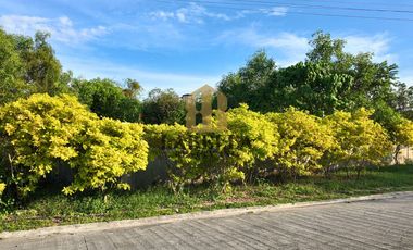 2 Titled Lots Near Royal Oceancrest Panglao 1 for Sale - Dauis, Bohol