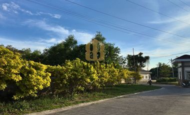 2 Titled Lots Near Royal Oceancrest Panglao 1 for Sale - Dauis, Bohol