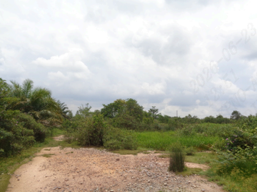 Dijual  Tanah Seluas 100.764 m2 Seharga 4,34 M di Banyuasin - Sumsel