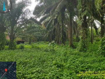 Dijual  Tanah Seluas 100.764 m2 Seharga 4,34 M di Banyuasin - Sumsel
