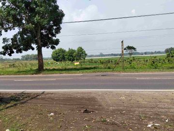 hanya 1.3jt/mtr Pagaden Subang maindorad