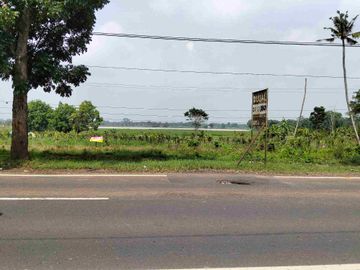 hanya 1.3jt/mtr Pagaden Subang maindorad