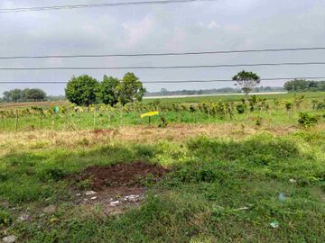 hanya 1.3jt/mtr Pagaden Subang maindorad